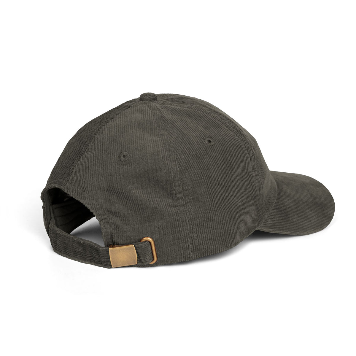 Panelique Legacy Hat