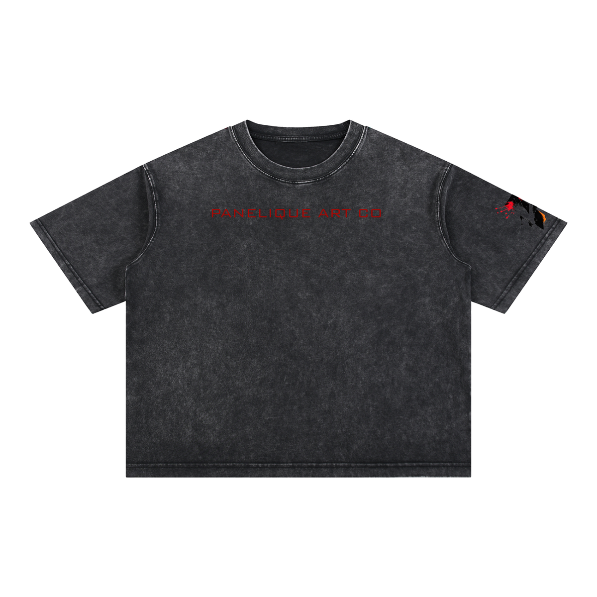 Panelique Boxy T Shirt
