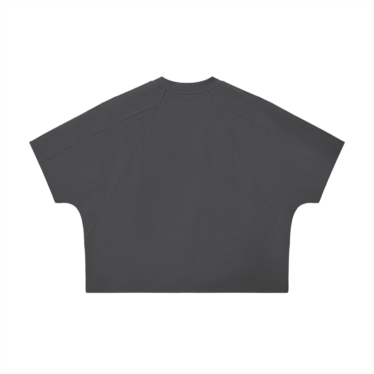 Panelique Panel T Shirt ( Unisex )