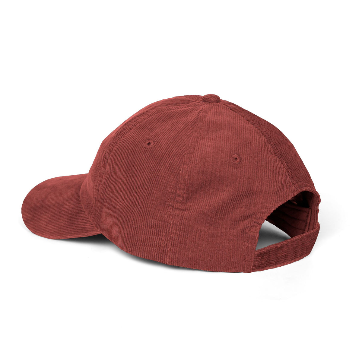 Panelique Legacy Hat
