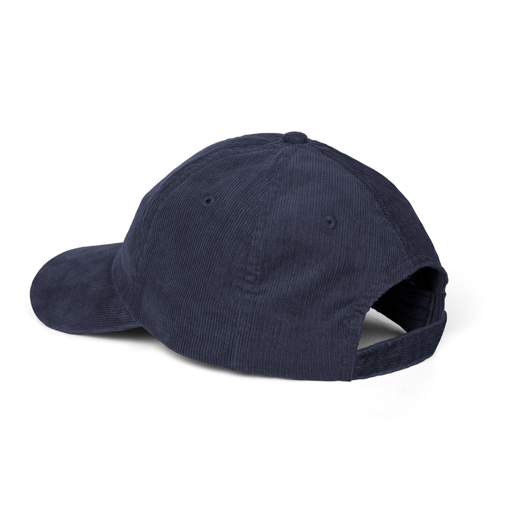 Panelique Legacy Hat