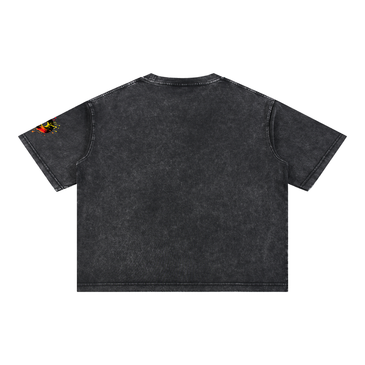 Panelique Boxy T Shirt